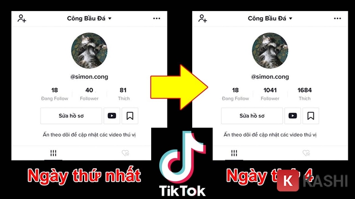 Cách hack follow tik tok trên máy tính và điện thoại mới nhất 2023