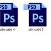 phoi-can-cuoc-cong-dan-psd-2
