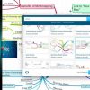 iMindmap 10