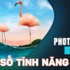 Tải Adobe Photoshop CC 2021 – Hướng dẫn cài đặt chi tiết Một số tính năng mới có trên phần mềm Photoshop CC 2026