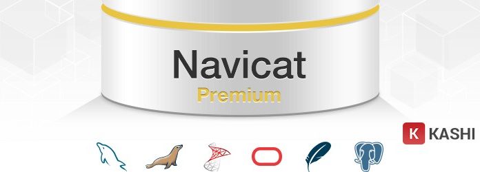 Tải Navicat Premium – Hướng dẫn cài đặt chi tiết Phần mềm quản lý dữ liệu Navicat