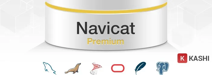Phần mềm quản lý dữ liệu Navicat