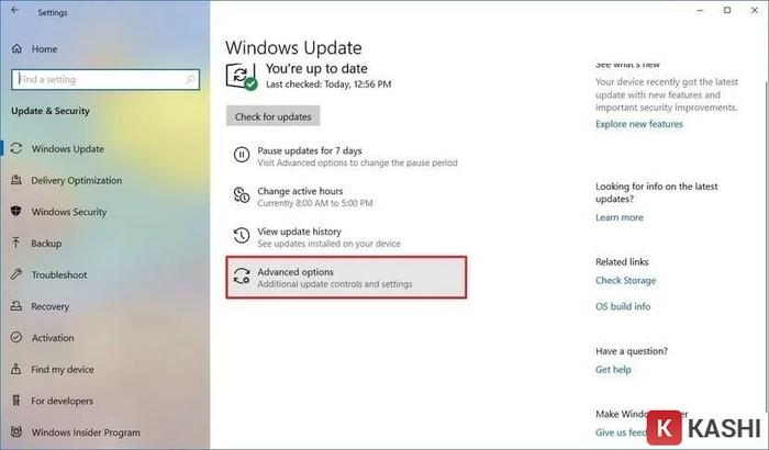 Tính năng Windows Update 