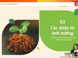 Mẫu slide bài giảng được ứng dụng thực tiễn hàng ngày trong việc giảng dạy nhắm nâng cao hiệu quả chuyên môn