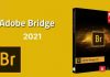 Phần mềm Adobe Bridge CC 2022