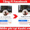 Tăng follows Facebook cá nhân miễn phí