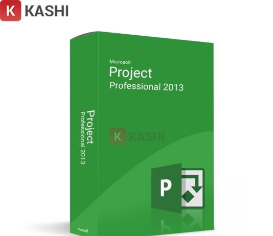 Microsoft Project 2013