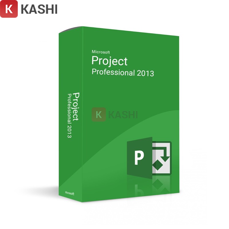 Microsoft Project 2013
