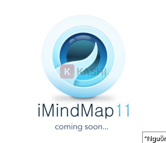 Phần mềm Imindmap 11