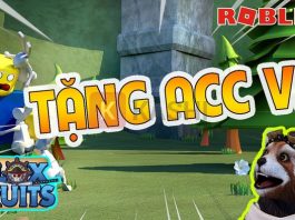 Tặng acc blox fruit
