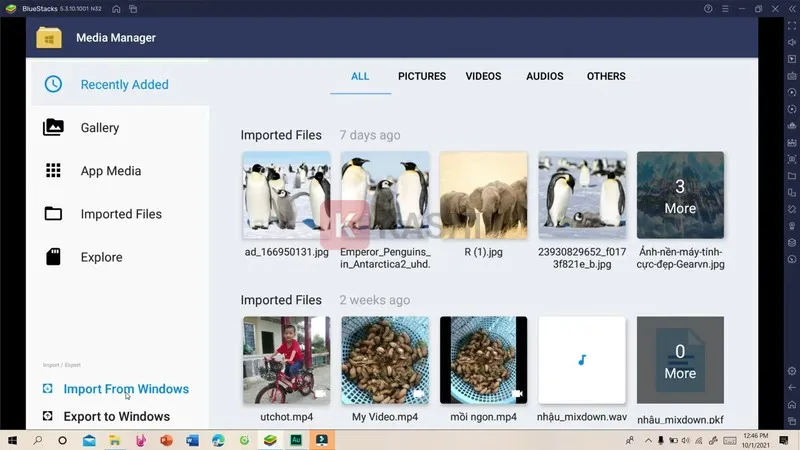 Chọn "Import from Windows" để chọn và tải video lên thư mục phần mềm giả lập