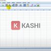 Spss 26_13