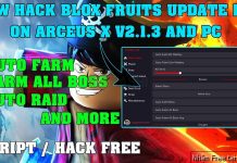 (ROBLOX) Blox Fruits Hack Update 17.2 Trên Điện Thoại Và PC : Auto Farm, Auto Raid Và Auto Sword