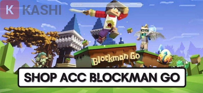 Shop acc Blockman Go 