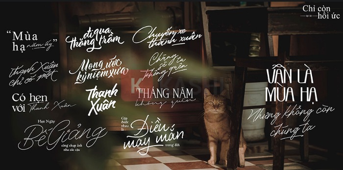 Free Font - Nếu bạn đang tìm kiếm các font chữ miễn phí, hãy đến với chúng tôi. Chúng tôi cung cấp cho bạn một kho font phong phú, đa dạng, đẹp mắt và miễn phí cho mọi mục đích. Truy cập vào trang web của chúng tôi ngay để có được bộ font chữ ưng ý và đáp ứng nhu cầu thiết kế công việc của bạn.