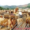 Quy-trinh-san-xuat-van-ep-phu-phim-1