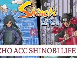 Acc Shindo Life