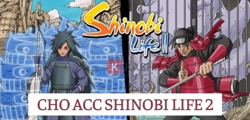 Acc Shindo Life