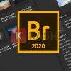 Adobe Bridge CC 2020