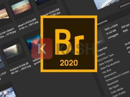 Adobe Bridge CC 2020