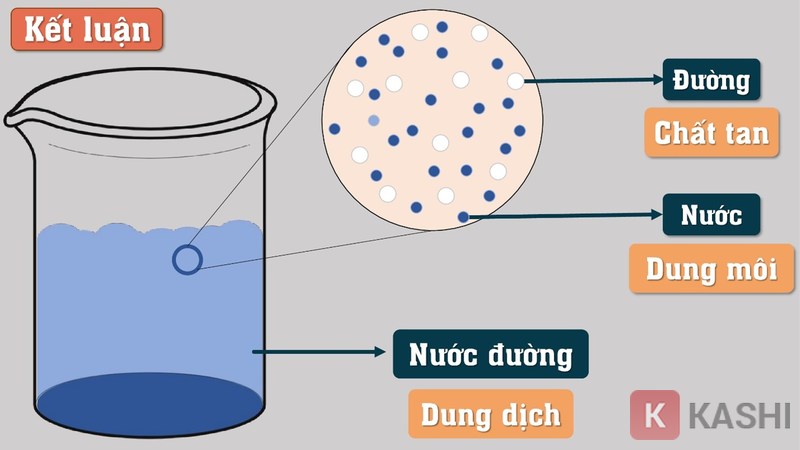 Phần kết luận giúp học sinh tóm tắt kết quả của thí nghiệm