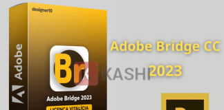 Adobe Bridge CC 2024