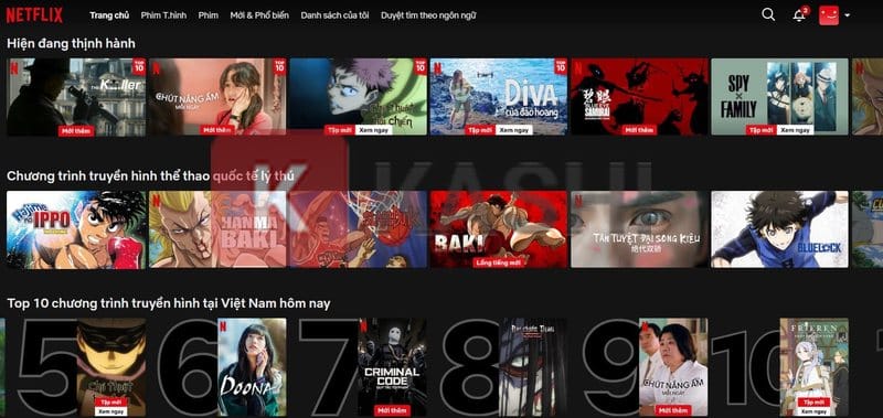 chia sẻ tài khoản Netflix miễn phí cập nhật tháng 12 - 2024