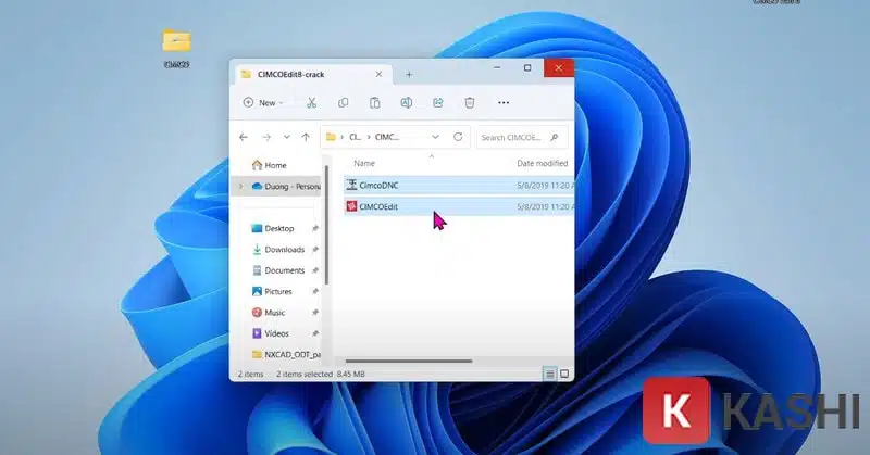 Copy đồng thời hai file Crack và cài đặt