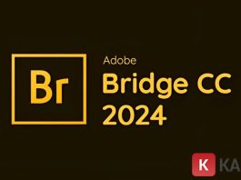 Adobe Bridge 2026